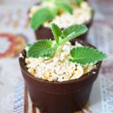 アメリカ製ガーデンポットチョコレート型のご紹介