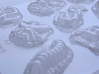 画像1: チョコレート型 昆虫たちの化石 5種類