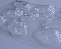 画像2: チョコレート型 昆虫たちの化石 5種類