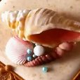 画像1: イギリス製/シュガークラフトシリコン型　貝殻　10種類 (1)