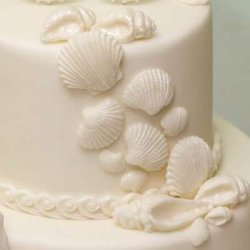 画像7: イギリス製/シュガークラフトシリコン型　貝殻　10種類