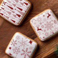 画像2: お得な3種類セット ステンシルプレート クリスマス(雪の結晶、 トナカイ 、クリスマスツリー)