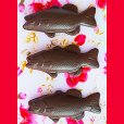 画像1: チョコレート型　魚　6個取 (1)