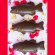 画像2: チョコレート型　魚　6個取 (2)