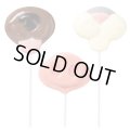 訳あり半額セール品／Wilton　ロリポップチョコレート型　アニマルノーズ　3種類