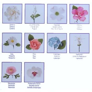 画像3: セール品／Wilton 豪華版 ガムペーストフラワーセット　II　 (3)