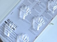 画像1: Wilton　チョコレート型　ゾンビの手　6個取
