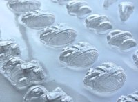 画像2: チョコレート型 ミニサイズ イースターアイテム 6種類