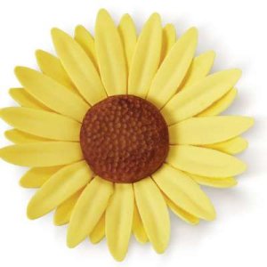 画像10: セール品／Wilton 豪華版 ガムペーストフラワーセット　II　 (10)