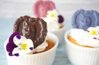 画像1: チョコレート型   ハートフレームの猫　12個取