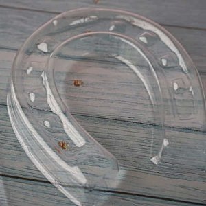 画像3: チョコレート型　馬の蹄　2個取 (3)