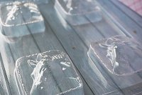 画像1: チョコレート型　馬の顔　4個取